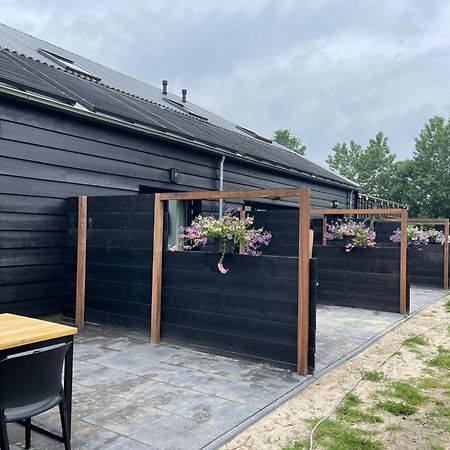 Cozy Holiday Home In Vrouwenpolder Close To The Beach Exteriér fotografie