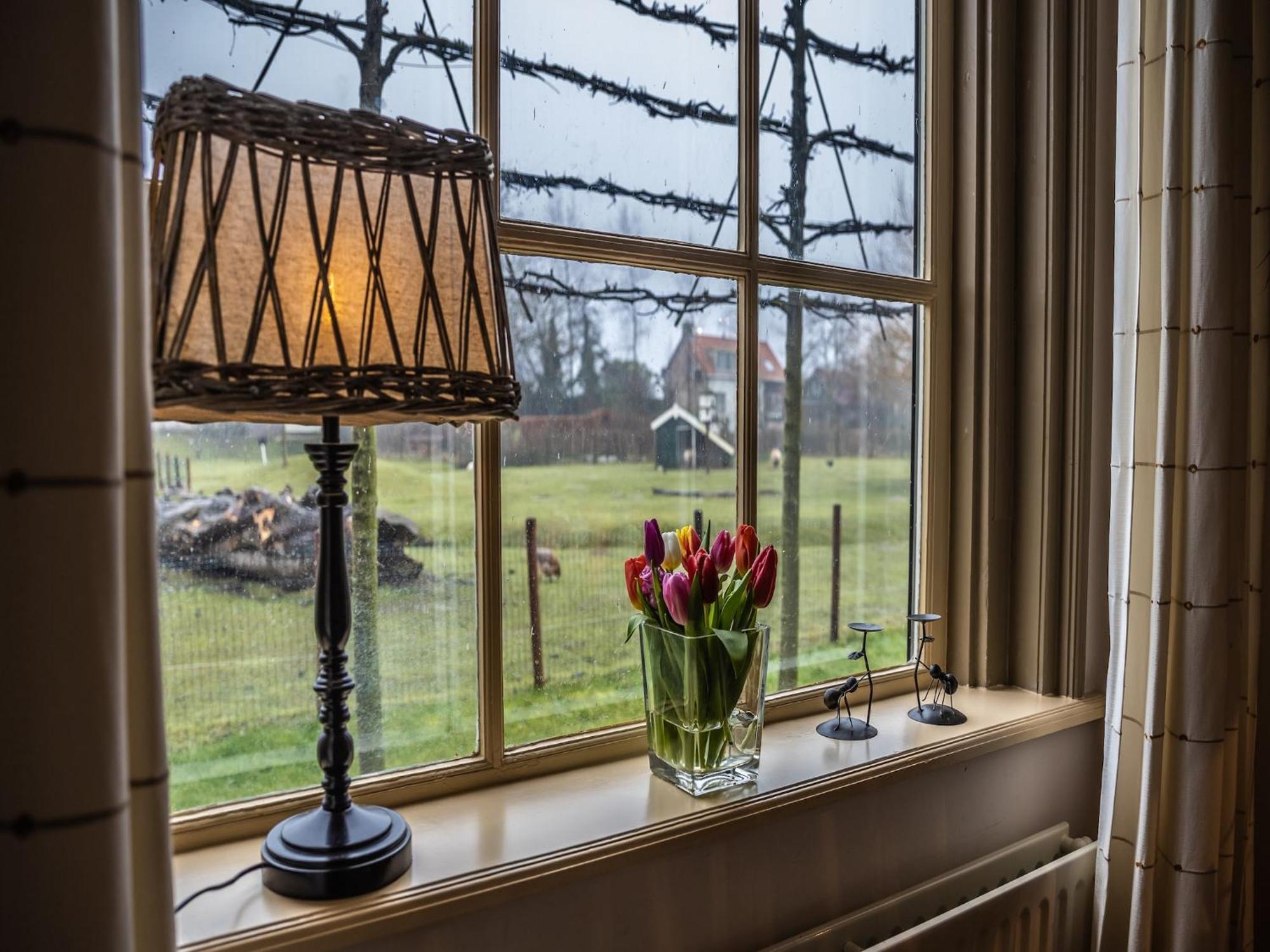 Cozy Holiday Home In Vrouwenpolder Close To The Beach Exteriér fotografie